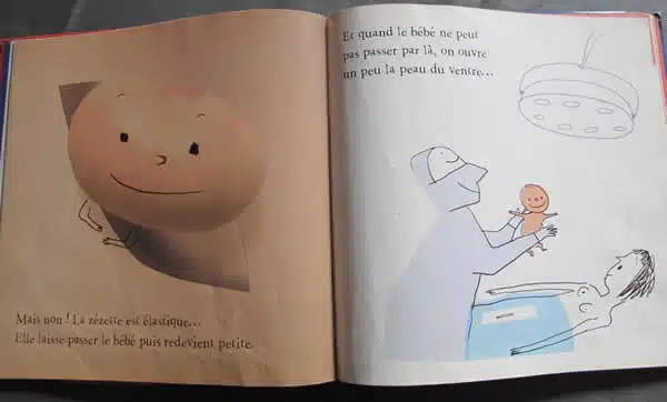 graine de bébé livre sur la conception et l'accouchement
