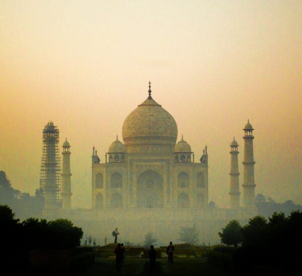 blossom spring challenge inde