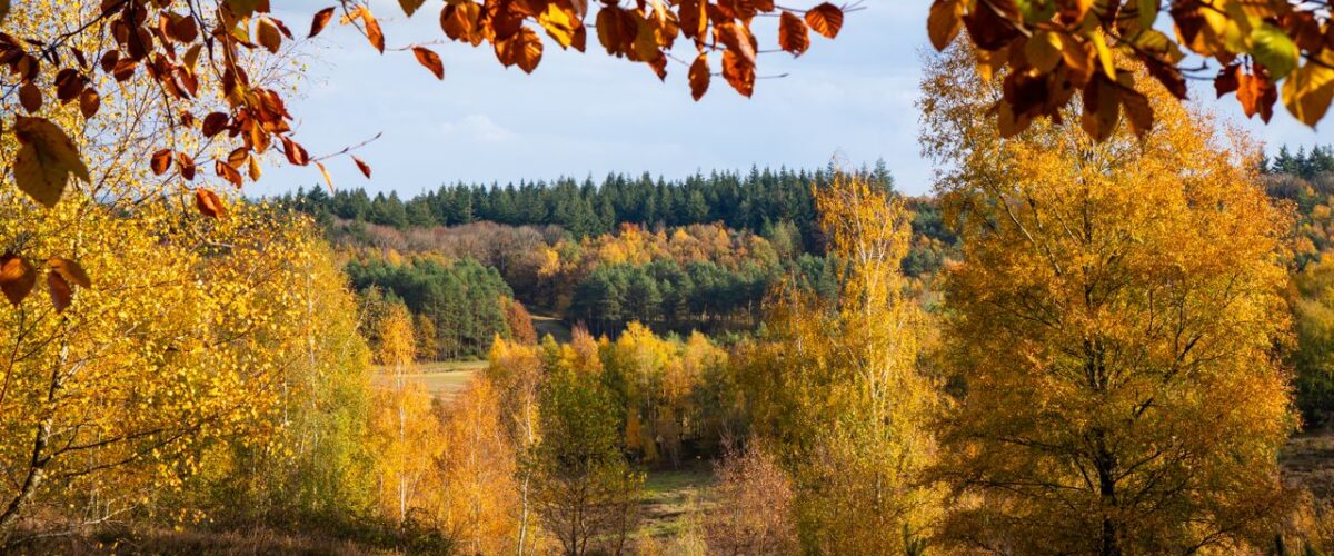 Pays-Bas en automne